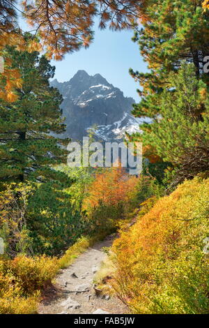 Automne dans la vallée de Kiezmarska, montagnes Tatra, Slovaquie Banque D'Images