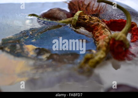 Surgelés poivrons chestnut leaf peel à la fonte des glaces Banque D'Images