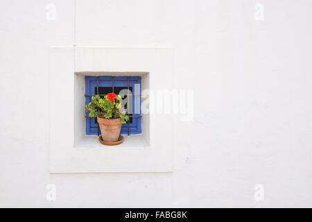 Géranium rouge en terre cuite pot dans la fenêtre de la maison blanche avec les appuis de fenêtre bleue à Ibiza, Iles Baléares, Espagne Banque D'Images