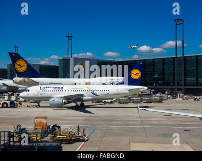 Les avions de la Lufthansa, l'aéroport de Francfort, Francfort, Hesse, Allemagne Banque D'Images