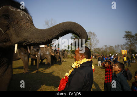 Chitwan, Népal, Sauhara. Dec 26, 2015. Un éléphant met des fleurs sur un homme, qui fait partie de la bénédiction avant le match de football de l'éléphant, une partie du Népal's annual international festival de l'éléphant à Sauhara, Népal le Samedi, Décembre 26, 2015. Photo/Skanda Skanda Gautam Gautam © ZUMA/wire/Alamy Live News Banque D'Images