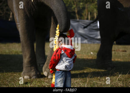 Chitwan, Népal, Sauhara. Dec 26, 2015. Un éléphant met des fleurs sur un garçon, qui fait partie de la bénédiction avant le match de football de l'éléphant, une partie du Népal's annual international festival de l'éléphant à Sauhara, Népal le Samedi, Décembre 26, 2015. Photo/Skanda Skanda Gautam Gautam © ZUMA/wire/Alamy Live News Banque D'Images