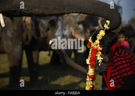 Chitwan, Népal, Sauhara. Dec 26, 2015. Un éléphant met des fleurs sur une femme, qui fait partie de la bénédiction avant le match de football de l'éléphant, une partie du Népal's annual international festival de l'éléphant à Sauhara, Népal le Samedi, Décembre 26, 2015. Photo/Skanda Skanda Gautam Gautam © ZUMA/wire/Alamy Live News Banque D'Images