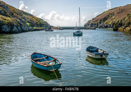 Le petit ruisseau ou le port d'Porthclais dans le Parc National de Pembrokeshire Coast, West Wales, UK, près de St Davids Banque D'Images