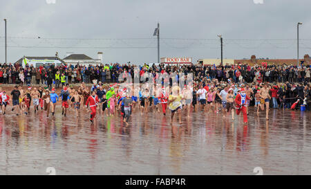 Torquay, Royaume-Uni, le 26 décembre 2015. 'À pied dans la mer' Boxing Day charity event organisé par le Lions Club de Paignton. Fêtards locaux ont bravé des conditions venteuses de participer au lendemain de tradition d'une baignade dans les eaux de la baie de Tor de la plage de Paignton ; avec beaucoup de porter des vêtements de fête ou fantaisie robe pour récolter des fonds pour la charité. Credit : Clive Jones/Alamy Live News Banque D'Images