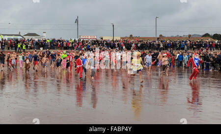 Torquay, Royaume-Uni, le 26 décembre 2015. 'À pied dans la mer' Boxing Day charity event organisé par le Lions Club de Paignton. Fêtards locaux ont bravé des conditions venteuses de participer au lendemain de tradition d'une baignade dans les eaux de la baie de Tor de la plage de Paignton ; avec beaucoup de porter des vêtements de fête ou fantaisie robe pour récolter des fonds pour la charité. Credit : Clive Jones/Alamy Live News Banque D'Images