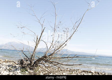 Direction générale de la sec sur une plage de galets du lac de Garde en Italie du nord Banque D'Images