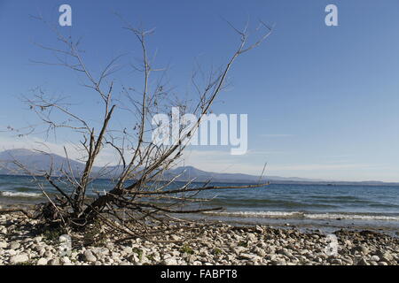 Direction générale de la sec sur une plage de galets du lac de Garde en Italie du nord Banque D'Images