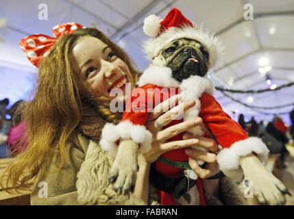 Kiev, Ukraine. 26 Décembre, 2015. Un pug habillés en costume à la ''Le pug-party de Noël'' parade, au cours de laquelle le jury a choisi le plus élégant du pug de Noël, à Kiev, Ukraine, le 26 décembre, 2015. Crédit : Serg Glovny/ZUMA/Alamy Fil Live News Banque D'Images