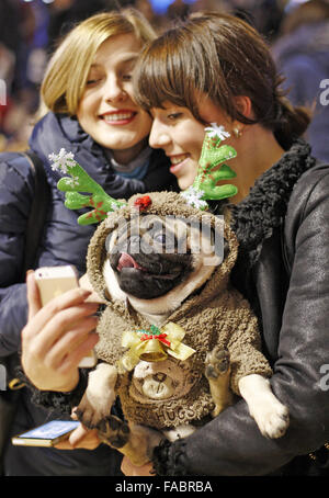 Kiev, Ukraine. 26 Décembre, 2015. Les ukrainiens les filles posent pour une photo avec un pug selfies habillés en costume à la ''Le pug-party de Noël'' parade, au cours de laquelle le jury a choisi le plus élégant du pug de Noël, à Kiev, Ukraine, le 26 décembre, 2015. Crédit : Serg Glovny/ZUMA/Alamy Fil Live News Banque D'Images