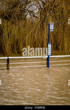 York, Royaume-Uni. 26 Décembre, 2015. Météo britannique. De fortes pluies dans le Nord de l'Angleterre à l'origine des inondations dans la région de York, le Lendemain de Noël comme la rivière Foss décline ses banques. Services de bus Route Huntington alon sont suspendus pendant que la route est fermée dans New York. Bailey-Cooper Photo Photography/Alamy Live News Banque D'Images