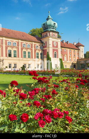 Lancut - le Château Royal, Pologne Banque D'Images