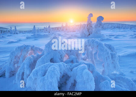 Au sommet d'une montagne Szrenica, montagnes de Karkonosze, Pologne Banque D'Images