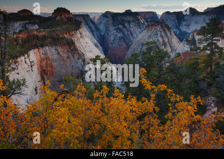 Behunin Canyon de la West Rim Trail, Zion National Park, Utah. Banque D'Images