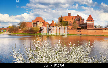 Château des chevaliers teutoniques, Malbork, Pologne, l'Europe occidentale, Banque D'Images