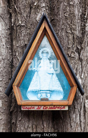 Plaque à la Vierge sur la péninsule de Quetrihué, Parc National de Los Arrayanes, près de Bariloche, Argentine Banque D'Images