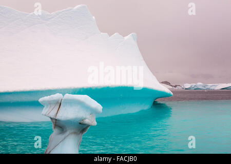 Les icebergs au large de Curverville île sur la péninsule antarctique, qui est un des plus rapides des lieux réchauffement de la planète. Banque D'Images