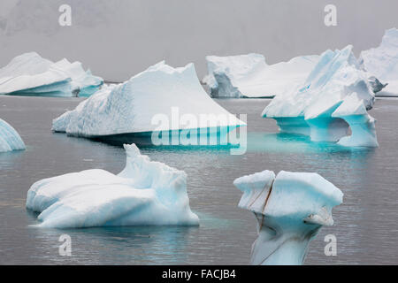 Les icebergs au large de Curverville île sur la péninsule antarctique, qui est un des plus rapides des lieux réchauffement de la planète. Banque D'Images