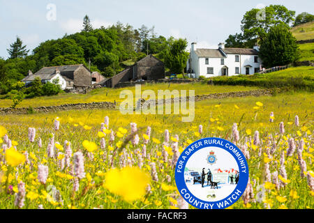 La Bistorte Eau, renoncules, trèfle et autres fleurs sauvages poussant dans une espèce traditionnelle riche hay meadow à Windermere, D Lakje Banque D'Images