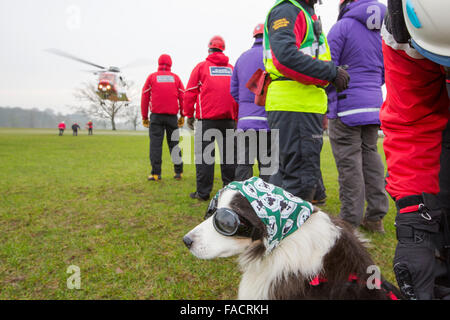 Un des hélicoptères Sikorsky S92 exécuter exploité par Bristows à Carlton Hall à Penrith, Cumbria, Royaume-Uni pour former des lacs avec les membres de l'équipe de secours en montagne, avec un SARDA, Search and Rescue Dog Association, search dog, porter des lunettes et des protections pour les oreilles. Banque D'Images