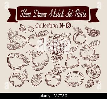 Les fruits. Jeu de croquis dessinés à la main, vector illustration Illustration de Vecteur