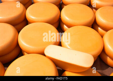 Fromage gouda 48 + au marché aux fromages d'Alkmaar, Pays-Bas, Banque D'Images