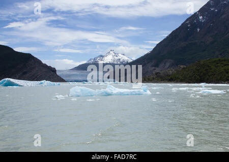 Glacier Gris Gris en vêlage des icebergs Lake dans le Parc National des Torres del Paine, en Patagonie, au Chili. Banque D'Images