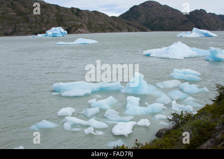 La glace flotte et les icebergs du Glacier Grey dans le lac à Torres del Paine en Patagonie, au Chili. Banque D'Images