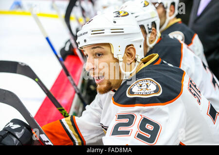 Anaheim Ducks aile droite Chris Stewart (29) au cours de la partie de la LNH entre les Ducks d'Anaheim et les Hurricanes de la Caroline au PNC Arena. Banque D'Images