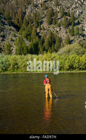 Flyfishing le grand trou Rivière, George Grant Memorial Site d'accès à la pêche, au Montana Banque D'Images