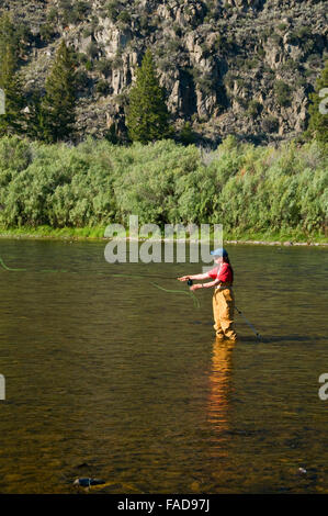 Flyfishing le grand trou Rivière, George Grant Memorial Site d'accès à la pêche, au Montana Banque D'Images