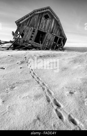 Les pistes et ancienne grange sur Oregon's Prairie Zumwalt. Banque D'Images