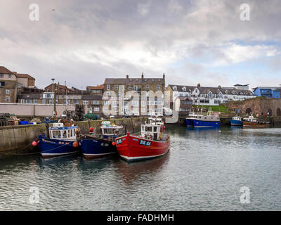 Des bateaux de pêche et de Plaisance pour des excursions vers le nord des îles Farne amarré dans le port de Sunderland à Northumberland Seahouses Banque D'Images