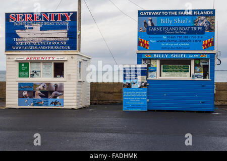 Billetteries signe avec des excursions en bateau vers la publicité voir les phoques et les oiseaux sur les îles Farne Banque D'Images