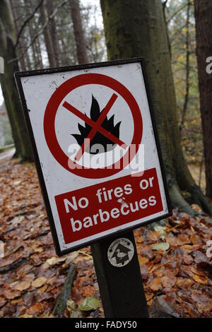 Pas de feux ou barbecues Sign in forest Banque D'Images