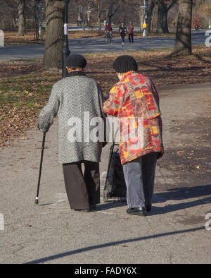 De vieux amis à marcher ensemble dans le parc Prospect profitant de la météo ensoleillée d'automne dans la région de Brooklyn, New York. Banque D'Images