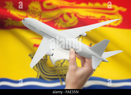 Avion en main avec province ou territoire canadien drapeau sur arrière-plan - Nouveau-Brunswick Banque D'Images