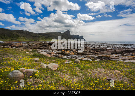 Parc national de Table Mountain, vue vers la pointe du Cap, Western Cape, Afrique du Sud Banque D'Images