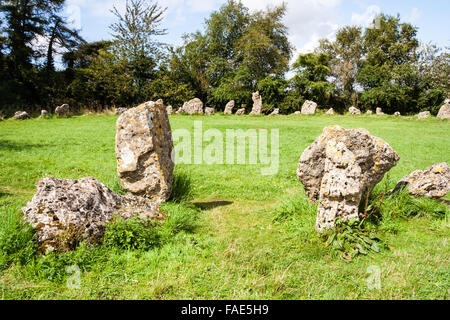 L'Angleterre, l'Oxfordshire, le Rollright stones. La fin du néolithique, âge du bronze, le cercle de pierre de cérémonie, appelée 'les hommes du roi'. La journée, l'été, ciel bleu. Banque D'Images