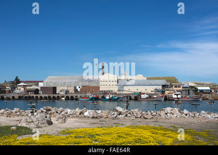 L'île aux oiseaux montrant des plates-formes et de nidification d'avis de la ville, Lambert's Bay, Western Cape, Afrique du Sud Banque D'Images