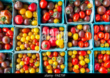 Les contenants des tomates cultivées localement Banque D'Images