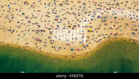 Silbersee II entre Haltern et Dülmen, lac, carrière, d'extraction de sable de quartz par le quartz, la gastronomie des sables mouvants Banque D'Images