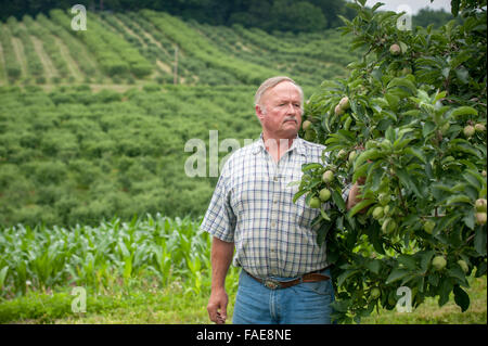 Agriculteur à plus de ses récoltes Banque D'Images