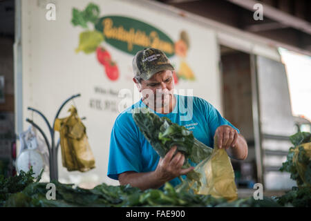 Bartenfelder Joe au marché de fermiers à Baltimore, MD. Banque D'Images