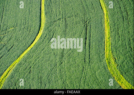 Plus d'antennes de terres agricoles dans le comté de Harford, MD. Banque D'Images