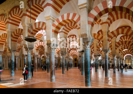 Salle hypostyle de la Grande Mosquée, Cordoue, Andalousie, Espagne, Europe Banque D'Images