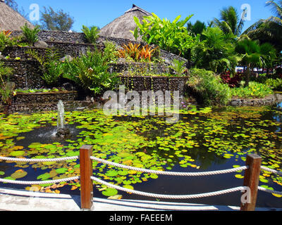 L'étang du poisson d'ornement des Jardins de Pa'ofa'i (Jardin de Paofai) à Papeete, Polynésie française. Banque D'Images