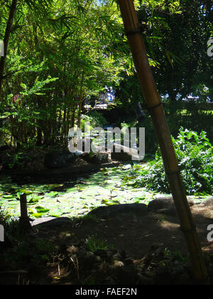 Parc Bougainville dans le centre de Papeete, Polynésie française. Banque D'Images