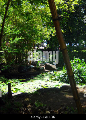 Parc Bougainville dans le centre de Papeete, Polynésie française. Banque D'Images