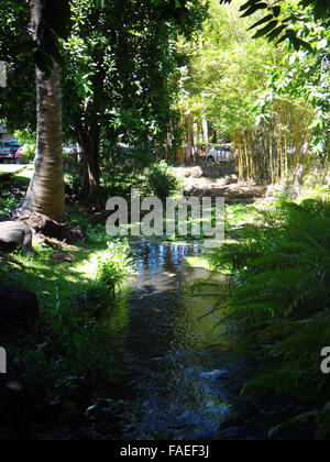 Parc Bougainville dans le centre de Papeete, Polynésie française. Banque D'Images